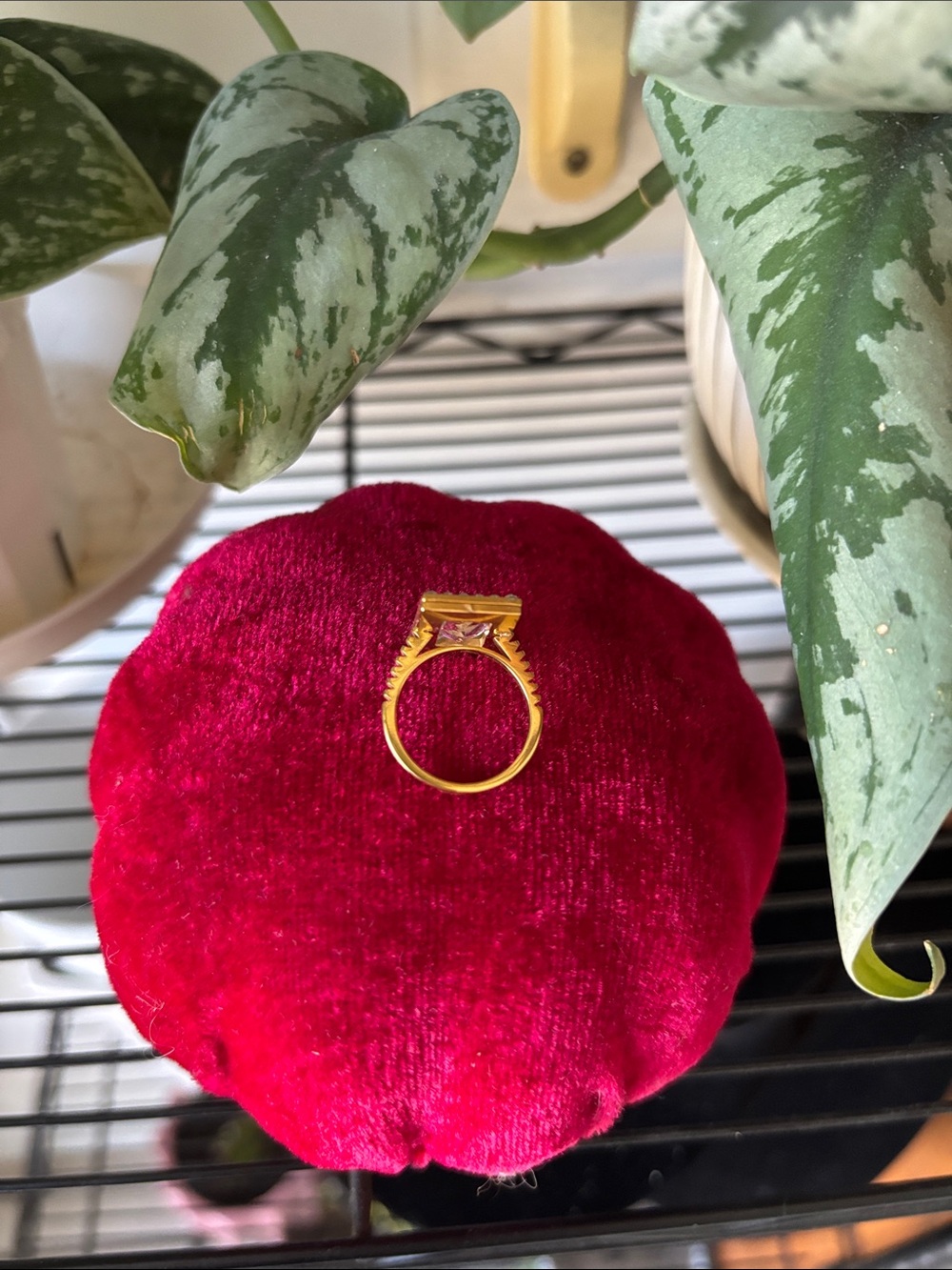 Anillo - Picture 3 of 4